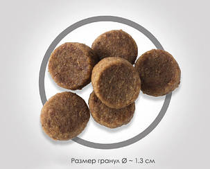 Hill's Puppy Large Breed Chicken, 14.5 кг., фото 3