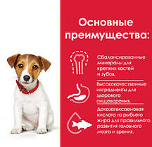 Hill's Puppy Small & Miniature Chicken, 1 кг (розвіс)., фото 4