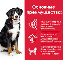 Hill's Adult Large Breed Chicken, 1 кг (розвіс)., фото 4