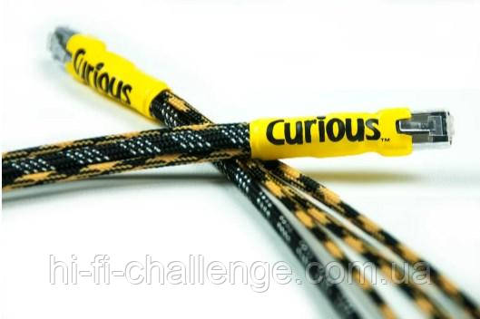 Ethernet кабель Curious  2 м