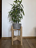 Підставка дерев'яна для квітів і рослин ясен 30х50 см, фото 5