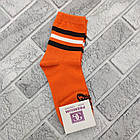 Шкарпетки жіночі високі весна/осінь асорті 25 PREMIUM Україна 30034584, фото 2