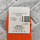 Шкарпетки жіночі високі весна/осінь асорті 25 PREMIUM Україна 30034584, фото 4