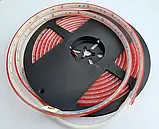 Світлодіодна стрічка COLORS, 24V, 120 led/m, 9.6W, 695Lm, IP67, 3000K (D8120-24V-8mm-IP67-WW), фото 2