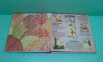 Хто ховається між листям й у воді? (книжка з віконцями) Павла Ганачкова. Книголав, фото 3