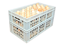 Ящики пластиковые для яиц 660 x 360 x 366