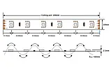 Світлодіодна стрічка COLORS D560RGB-24V-10mm 24V 60 led/m 12.5W IP33 RGB, фото 7