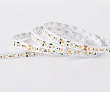 Світлодіодна стрічка COLORS, 24V, 168led/m, 9.61W, IP20, 1900⇄3000K (DS8168GWWW-24V-10mm), фото 3