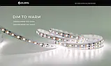 Світлодіодна стрічка COLORS, 24V, 168led/m, 9.61W, IP20, 1900⇄3000K (DS8168GWWW-24V-10mm), фото 4