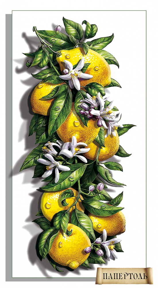 Набір для створення картини в техніці Папертоль РТ150265 Соковиті лимони