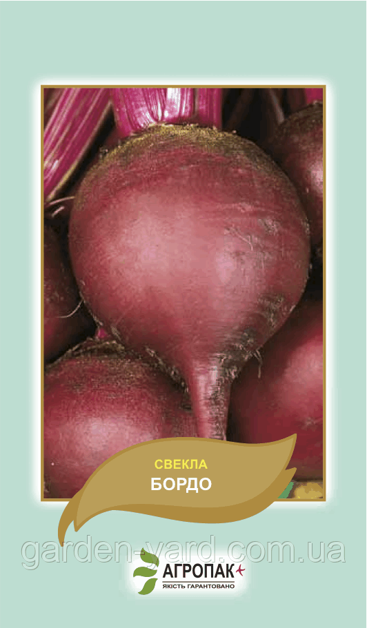 Насіння буряку Бордо Агропак плюс