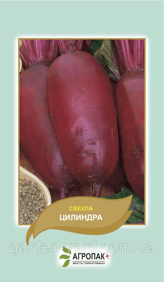 Насіння буряк Циліндра Агропак плюс 3гр.
