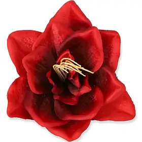 Амараліс штучний голівка