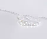 Світлодіодна стрічка COLORS, 24V, 60 led/m, 16.8W, IP33, RGB+4000K (D560RGBNW-24V-12mm), фото 3