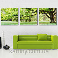 Скидка 5% на картины по номерам 50х150 см. ТРИПТИХ