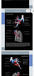 Федерле М. П. Променева анатомія. Груди, живіт, таз., фото 6