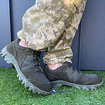 Тактичні берци з нубука, оливкового кольору, фото 2