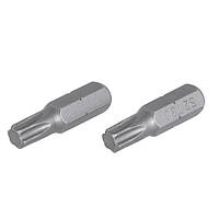 Біта T30 х 25мм Torx Nail