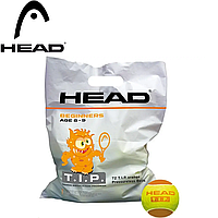 М'ячі для великого тенісу м'ячі для ігор з тенісними ракетками для дітей Head TIP Orange 72B (72шт.)
