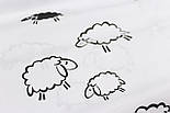 Б'язь з чорні овечки на білому тлі No241, фото 3