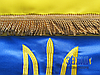 Прапор України з вишитим тризубом і бахромою з прокатного атласу, фото 3