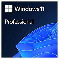 Windows 11 Professional