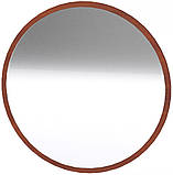 Дзеркало-5 Горіх екко Компаніт (82 x82 см), фото 5