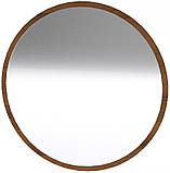 Дзеркало-5 Вільха Компаніт (82х2 см), фото 5