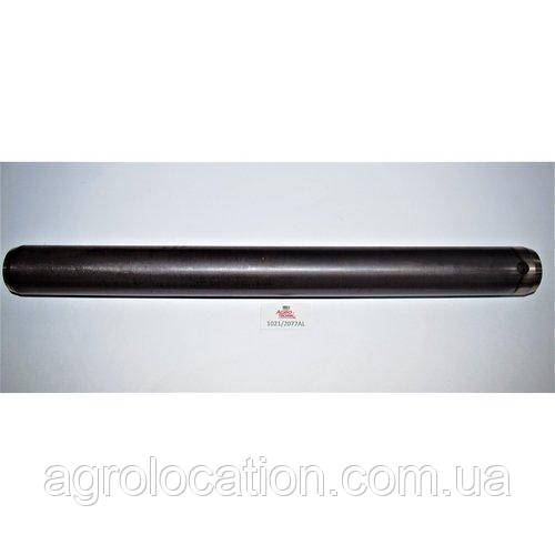 Палець, фото 1