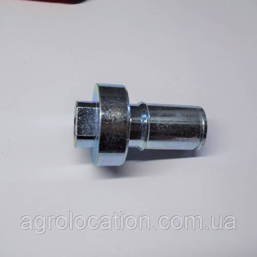 Цапфа, фото 1