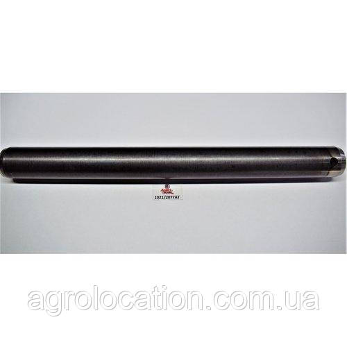 Палець, фото 1