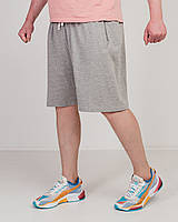 Чоловічі трикотарні шорти, світло-сірого кольору.
