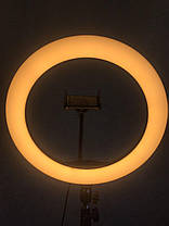 Світлодіодна LED кільцева лампа 35 СМ LS-360 / 50697, фото 2