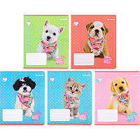 Зошит шкільний Kite Studio Pets SP22-234, 12 аркушів, лінія