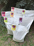 Продуктивний корм для птахів (несушка, качка,гусь) 25 кг, фото 2