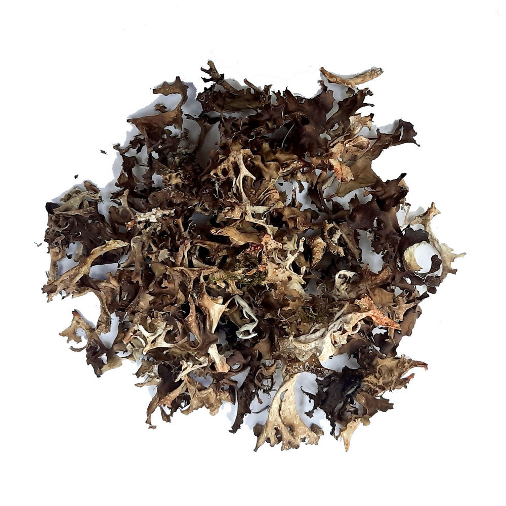 Ісландський мох (500г)