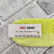 Шкарпетки дитячі високі літні з сіткою асорті р.24 Україна 30034938, фото 9