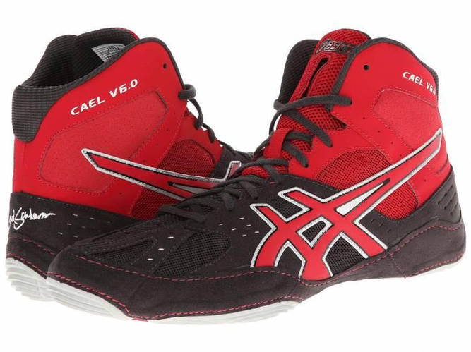 Борцовки, боксерки Asics Cael V6.0, цена 3300 грн — Prom.ua (ID#1394050221)