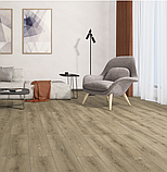 Ламінат KASTAMONU, Кастамону, PRIME, FR 011 GOLDEN GATE, 32 клас, товщина 8 мм, фаска 4V, фото 2