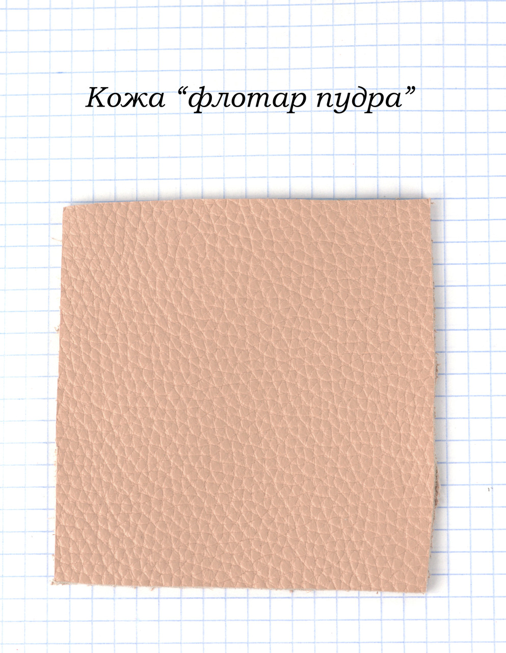 Шкіра "флотар пудра"