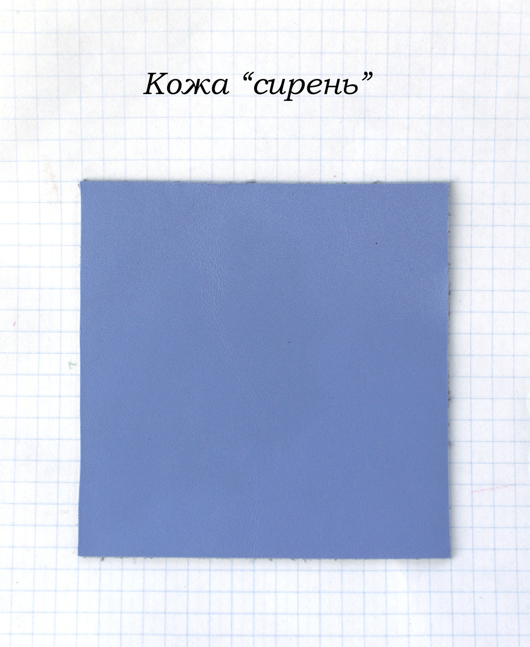 Шкіра "бузок"
