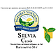 Stevia Стевія, NSP, США. Низькокалорійний цукрозамінник., фото 3