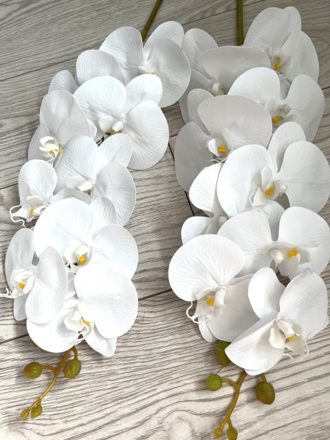 Орыс бисексуалы свингерлердің порносы