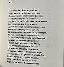 Триста поезій. Книга Ліни Костенко, фото 4
