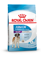 Сухой корм для собак юниоров гигантских пород Royal Canin Giant Junior 15 кг