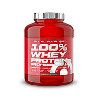 Scitec Nutrition 100% Whey Protein Professional 2350 г (78 порций) Сывороточный протеин