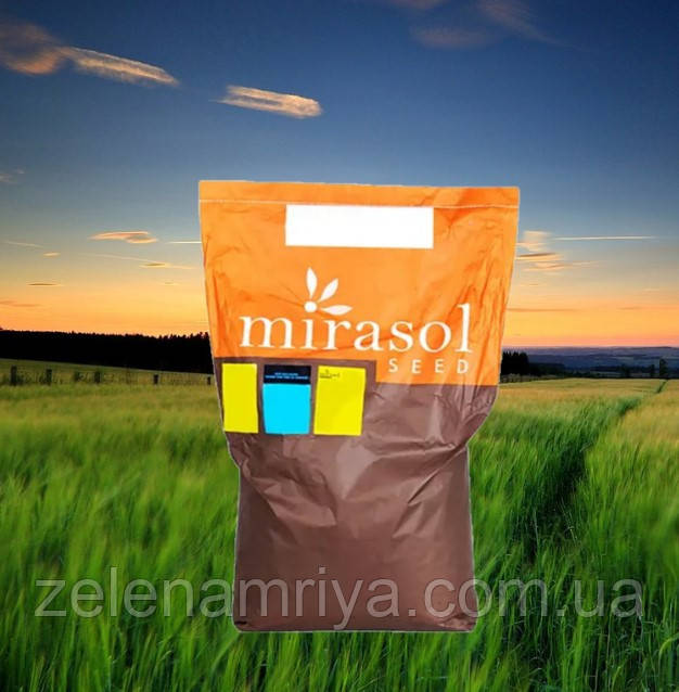 Насіння соняшнику БОНАСОЛ JMR OR7 (BONASOL MIRASOL SEED)