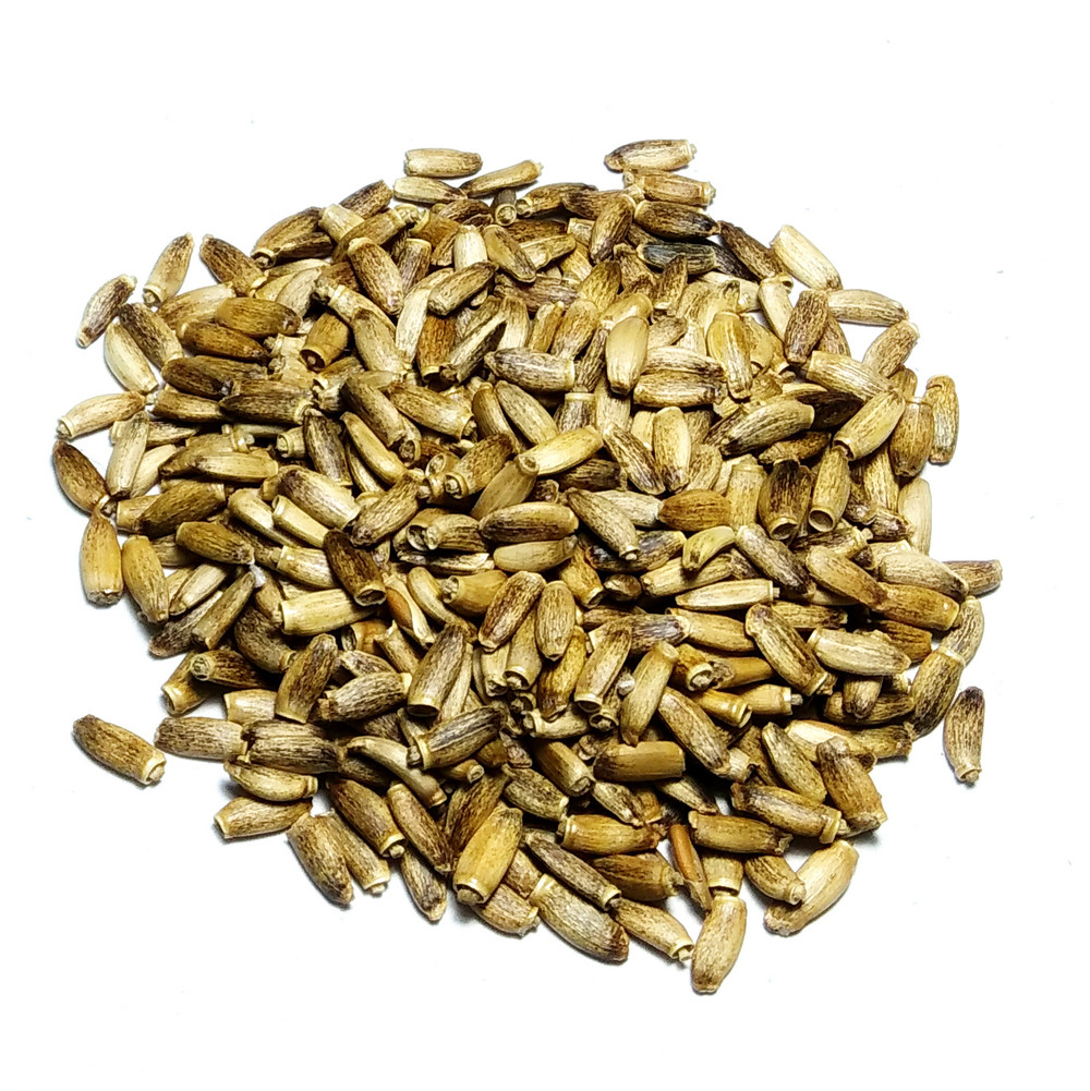 Розторопша плід (1кг)