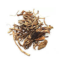 Чемерица - купить недорого на Prom.ua: цены, акции и отзывы | Украина, Киев