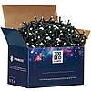 Гірлянда вулична (зовнішня) Springos 15 м 300 LED CL0320 Cold White, фото 9